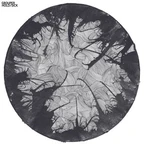 Hold / Sick - Single by Grouper [1 scrobbles]